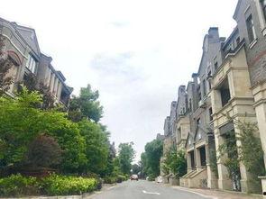 潮州沙溪爆料事件最新,真相与争议交织的社区风波  第3张