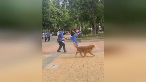 遛狗不拴绳爆料视频播放,网络曝光引发社会热议 第1张 遛狗不拴绳爆料视频播放,网络曝光引发社会热议 第1张